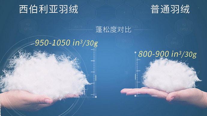J9集团·(中国)官网 -首页